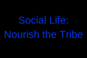 Social Life _ Nourish the Tribe